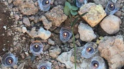 Зеленский обвинил Иран в непредоставлении записей переговоров диспетчеров во время инцидента с «Боингом»