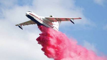 Русские спасают даром