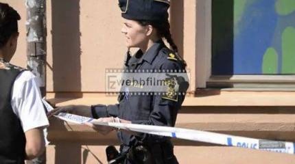 Шведский Мальмё захлестнула волна взрывов