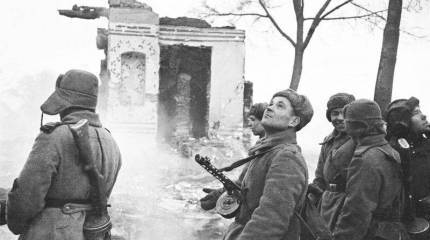 «Фрицы опустошили всю местность, жгли сёла, жгли живых людей»