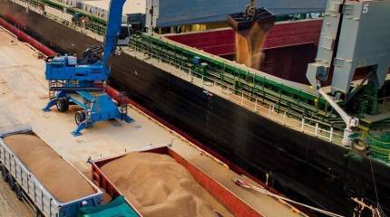 После выхода РФ из зерновой сделки Киев предложил альтернативный маршрут вывоза зерна