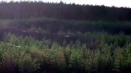 Пейзаж военного времени: Серебрянское лесничество опутано оптоволоконными нитями от применённых дронов