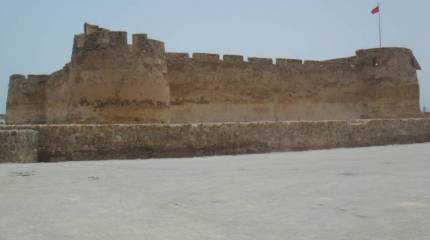 Крепость Арад