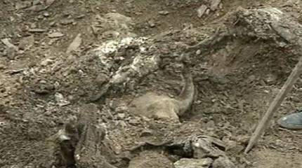 Ополченцы ДНР обнаружили еще одно массовое захоронение