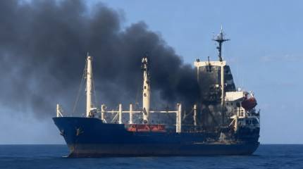 МИД Индии вызвал посла Украины после атаки на корабль в Одесском порту