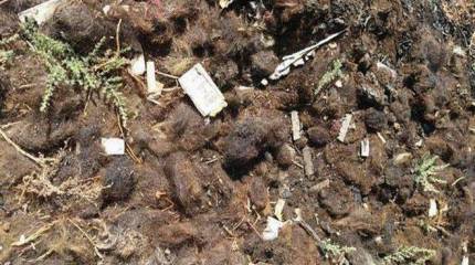 Боевики ИГИЛ покидают Сирию в никабах, сбривая бороды