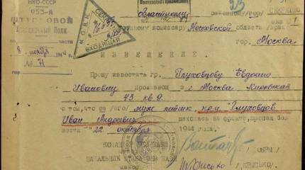 Судьба пилота