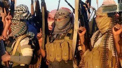 Обама выпросил у парламента полмиллиарда на помощь сирийским боевикам