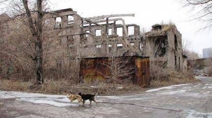 Среди вежливых людей