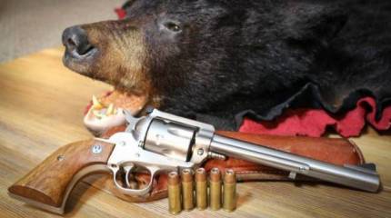 Медвежий короткоствол