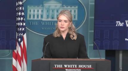 Белый дом: переброска войск Европы в Гренландию планам Трампа не помешает