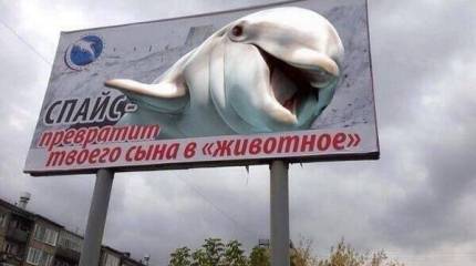 Спайсовый удар по России
