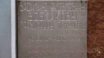 Сусанин по фамилии Вобликов