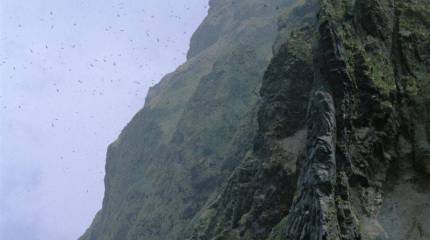 Японский политик: Для возврата Курильских островов Японии необходимо отменить санкции против России