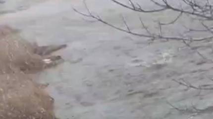 Подтвердилась информация о подрыве ВСУ дамбы в Артёмовске