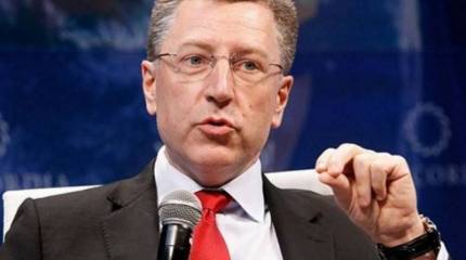 Волкер: "Сепаратистские" выборы на Донбассе нелегитимны