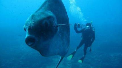 Минские разногласия