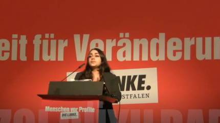 Политик в ФРГ поинтересовалась, почему сын бывшего украинского посла Мельника учится в Берлине, а не идёт воевать за свою страну