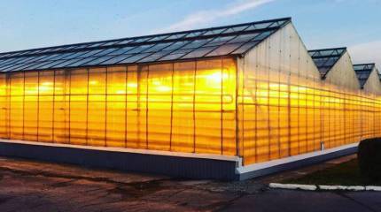 Санкции и контрсанкции позволили сельхозотрасли РФ добиться внушительного роста