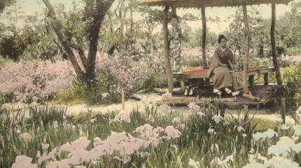 Мирные краски Страны восходящего солнца