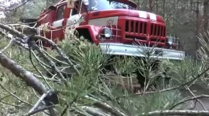Площадь пожара в зоне отчуждения под Чернобылем существенно выросла