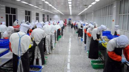 Доклад: Китай уничтожил в США более 3 млн. рабочих мест