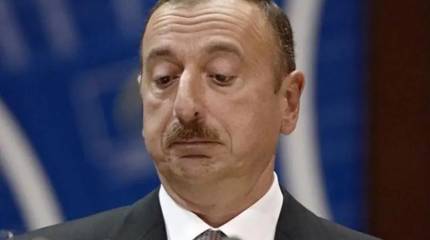 Мягкая петля для господина Алиева