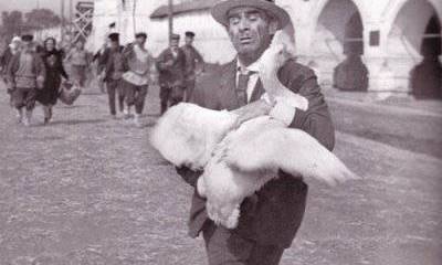 Почему у нас воров как комаров?