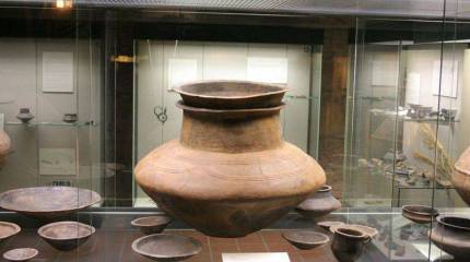 Воины культуры «полей погребальных урн»