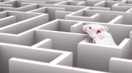 Всех научить и обо всем узнать!