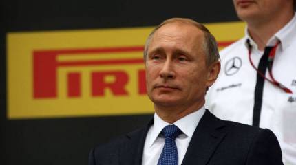 Проект «ЗЗ». Кто на свете всех милее?