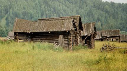Есть ли будущее у русских