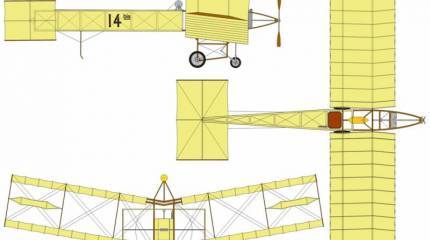 Летучий бразилец