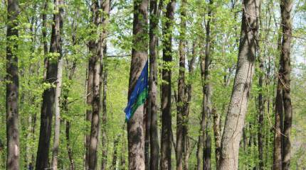 Первомай в стиле ВДВ