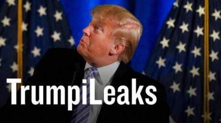 Проект «ЗЗ». Трампиликс. Массовое явление новых Сноуденов подточит Америку