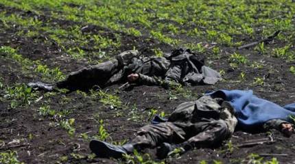 О потерях украинской карательной армии