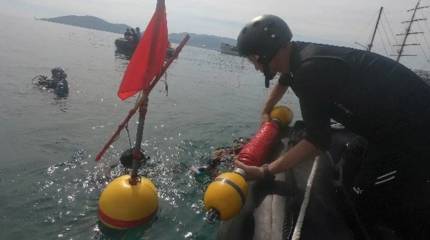 За подготовку украинских сапёров взялись японские инструкторы