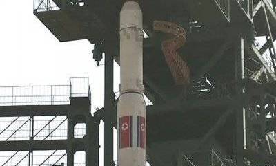 Уроки от КНДР. Реплика Александра Привалова