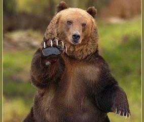 Какой я вижу Россию, готовую к миру... И никаких войн