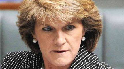 Министр иностранных дел Австралии Джули Бишоп по ролику из YouTube "установила причастность пророссийских повстанцев к крушению малайзийского Боинга"