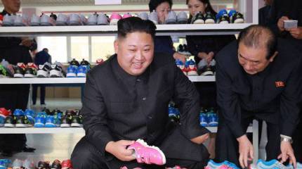 Розовые кроссовки северокорейского терроризма. Срочно бегите за пробиркой...