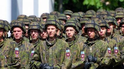 Мяса нет, бери картофель – в финской армии вводятся вегетарианские дни