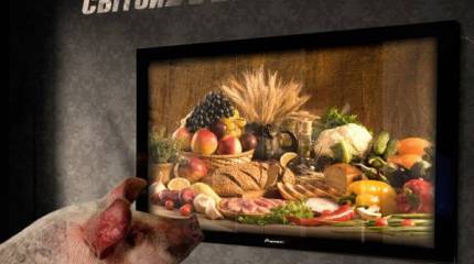 Почему поравалильщики не спешат уезжать из России