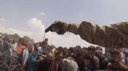 Стрельба в сторону гражданских лиц и удары прикладами: Морпех США опубликовал кадры из аэропорта Кабула