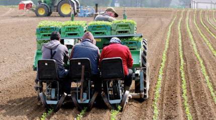 Глава Минсельхоза ФРГ попытается договориться об ослаблении российского эмбарго