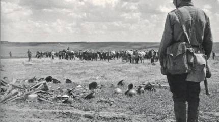 Румыны шумною толпою по Бессарабии бегут