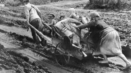 Мальчишки, спасшие колхозное сено