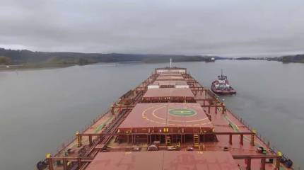 Япония собирается извлекать редкоземельные минералы из морской «грязи»