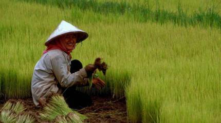 Поле, китайское поле… Светит луна или падает снег…