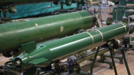 Презентация новой универсальной малогабаритной торпеды УМТ пройдёт в ходе военно-морского салона «МВМС-2023» в Кронштадте